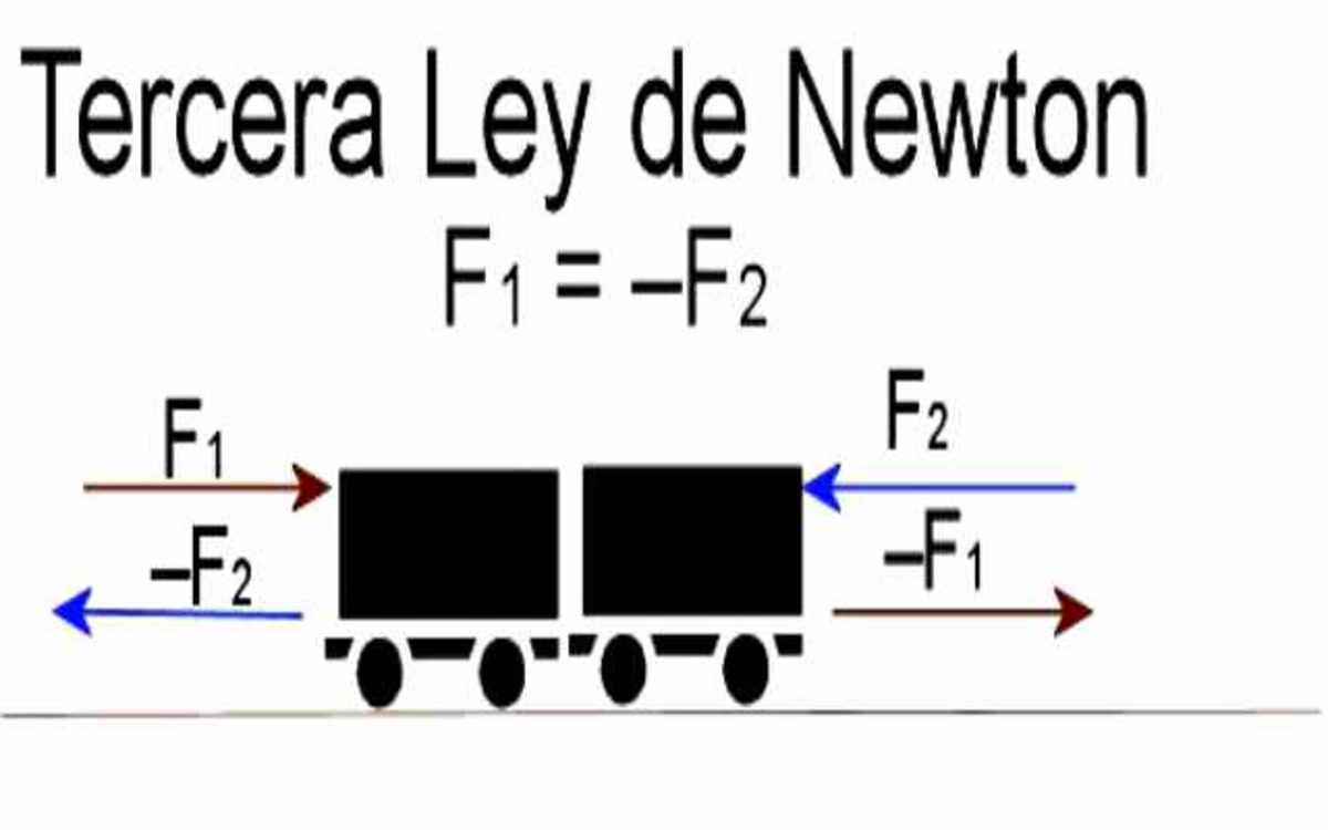 La Tercera Ley De Newton Mec Nica