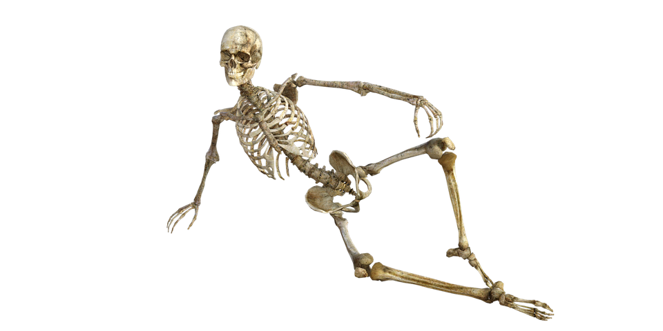 cuantos-huesos-cuerpo-humano