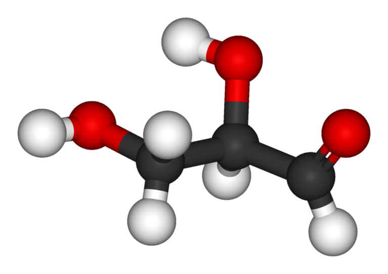 Qué Son Las Biomoléculas