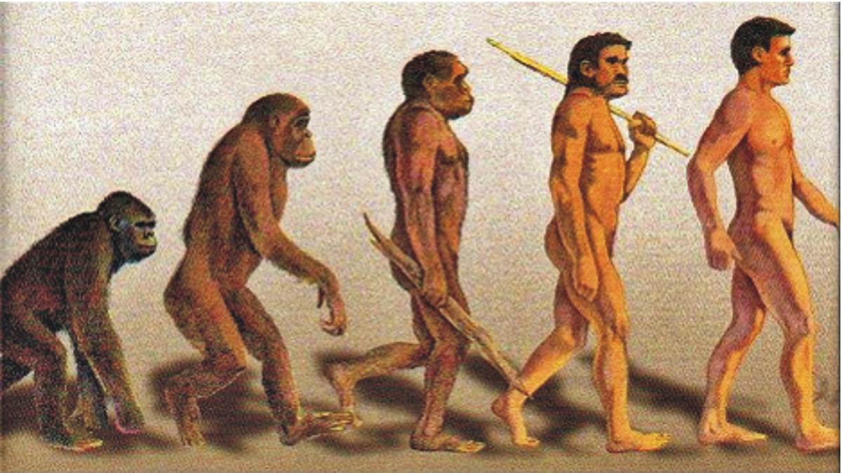 Las 4 teorías más aceptadas para explicar el origen del hombre