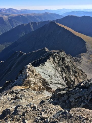 Las 5 Características De La Tundra Que No Conocías