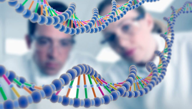 ¿Qué es la ingeniería genética?