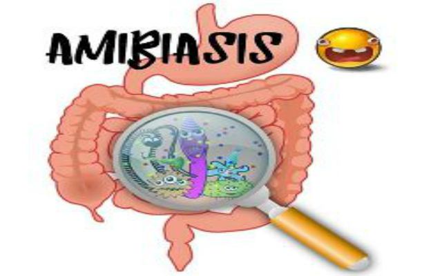 Las amebas, parásitos intestinales