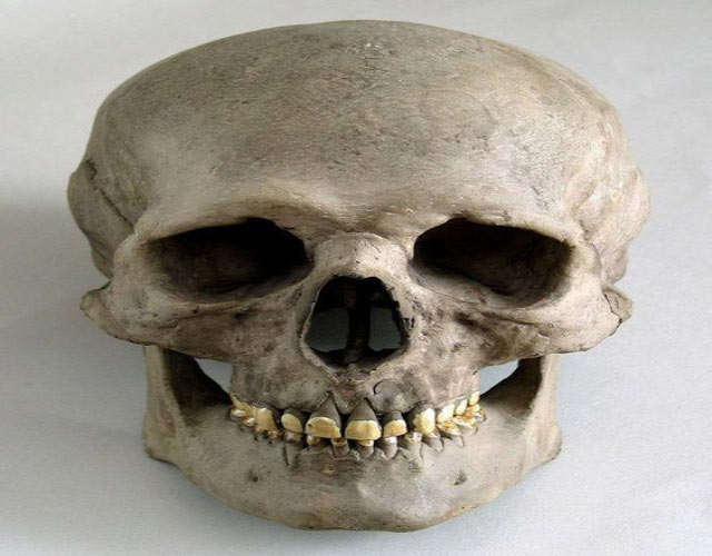 cuántos huesos tiene el cráneo