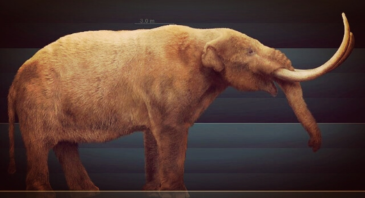 diferencia entre el mastodonte y el mamut