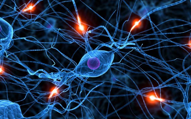 ¿Qué es la sinapsis?
