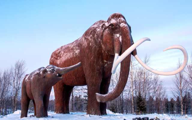 La extinción del mamut lanudo  