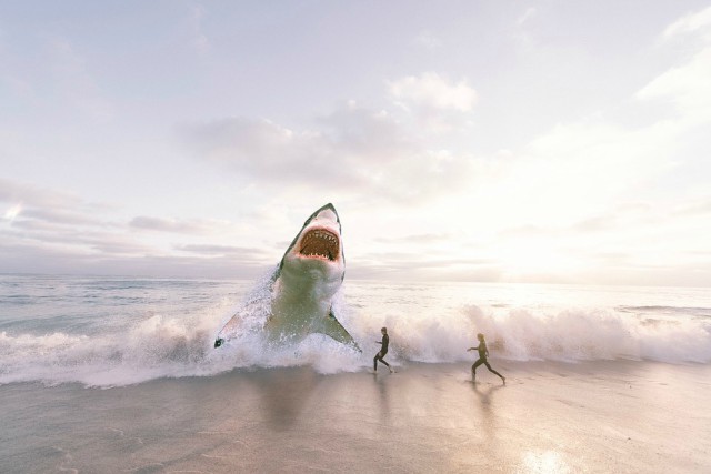 cómo sobrevivir al ataque de un tiburón