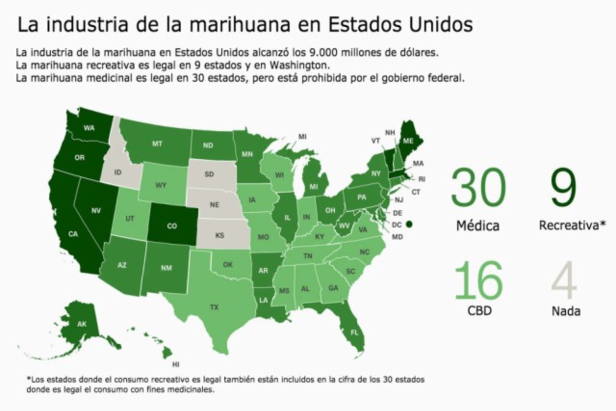 Штаты в которых легализована трава 2020