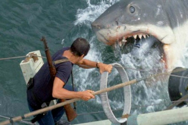 cómo sobrevivir al ataque de un tiburón