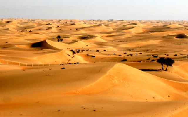 Curiosidades sobre el desierto del Sahara