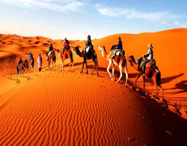 Curiosidades sobre el desierto del Sahara