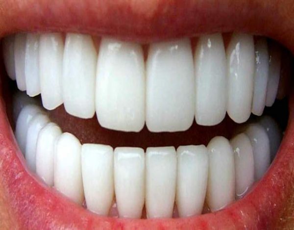 Cuál es la  función de los dientes