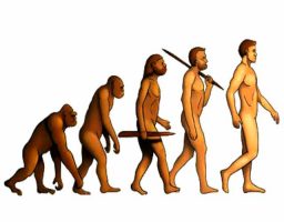 La evolución del hombre