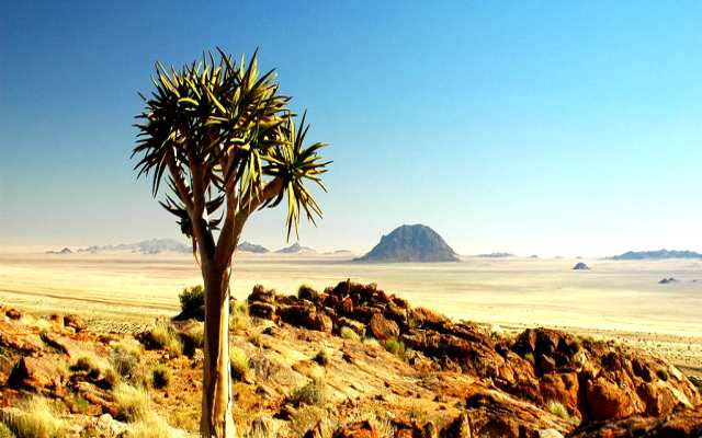 Las eras geológicas de la Tierra