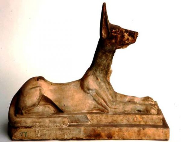 Perros momificados en un templo egipcio