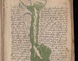 manuscrito de Voynich