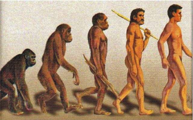 4 teorías evolutivas anteriores a Darwin