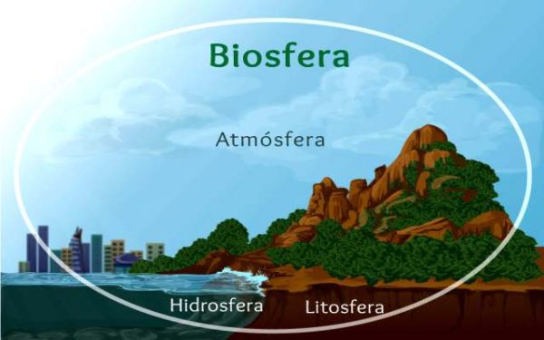 Qué es la biosfera