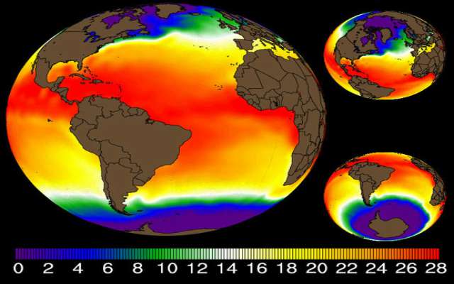 Consecuencias del aumento de temperatura de los océanos