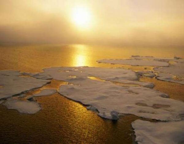 Consecuencias del aumento de temperatura de los océanos