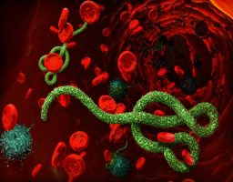 Tipos de virus peores que el ebola