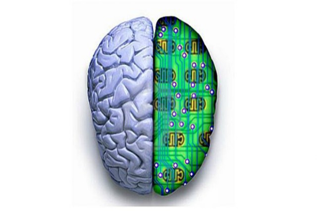 Diferencias entre el cerebro y el ordenador
