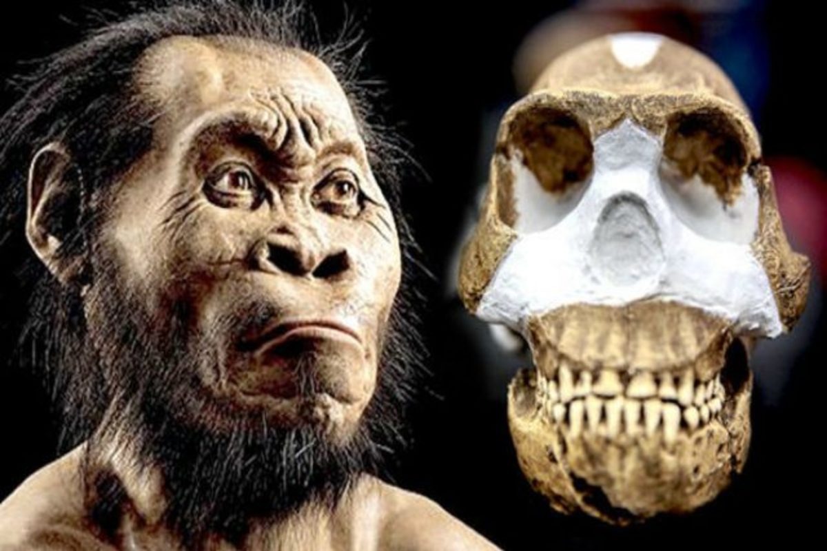 Homo naledi. Предки человека.