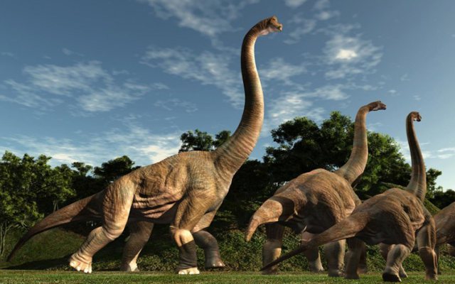 Brontosaurio, característica y forma de vida