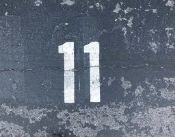 Curiosidades sobre el número 11