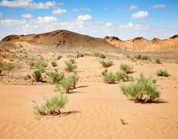 Los 5 desiertos más grandes del mundo
