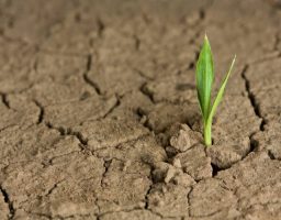 Los aerosoles frente al cambio climático