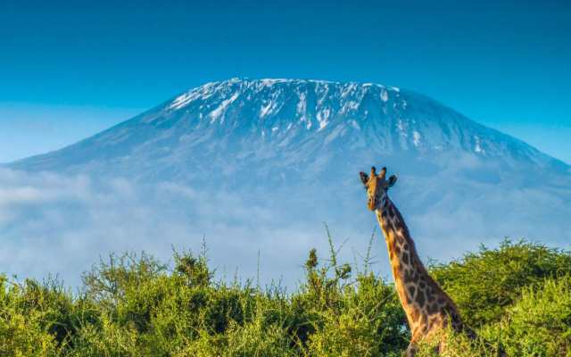 El pico más alto de África