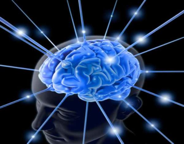 5 debilidades de la inteligencia humana
