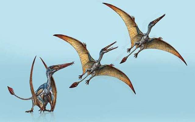 Dinosaurios voladores