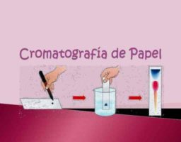 Experimento Cromatografía en papel