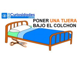 Mujeres Vean! 6 Cosas Que Nunca Debes Poner Debajo De La Cama Según El Feng Shui