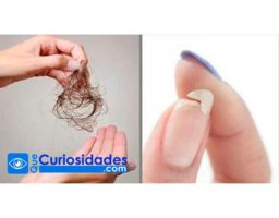 Necesitas Comer Este si Tienes Pérdida de Cabello, Mucho Sueño y Uñas Frágiles