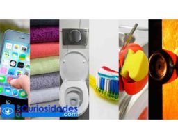 10 objetos cotidianos que tienen MÁS BACTERIAS que un baño