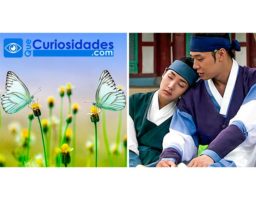 ¿Conoces la leyenda de los amantes mariposa?