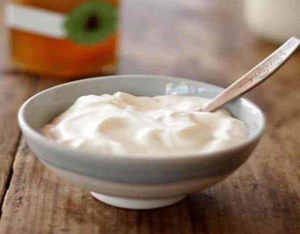 Cuál es el origen del yogurt