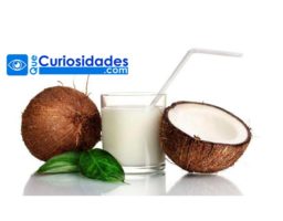 Sabes lo que sucede si bebes un vaso de agua de coco durante 7 días. Es extraordinario