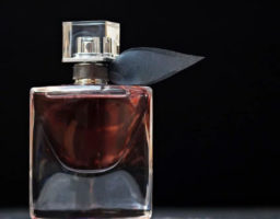 perfumes favoritso de las famosas