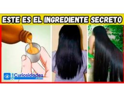 Mascarilla de aloe vera y cerveza para el cabello