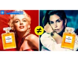 10 Creencias generalmente aceptadas sobre los perfumes que no son más que mitos