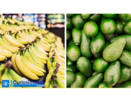 10 Usos geniales del aguacate para cuidar tu salud y belleza