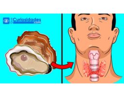 alimentos que ayudan a tus tiroides a estar sanas