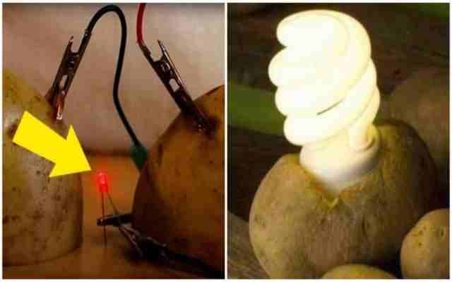 Se puede sacar electricidad de las patatas Experimento