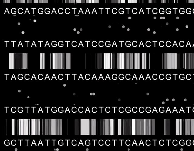El código del genoma humano completo